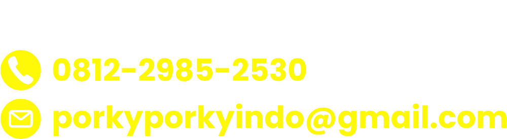 kontak porky porky