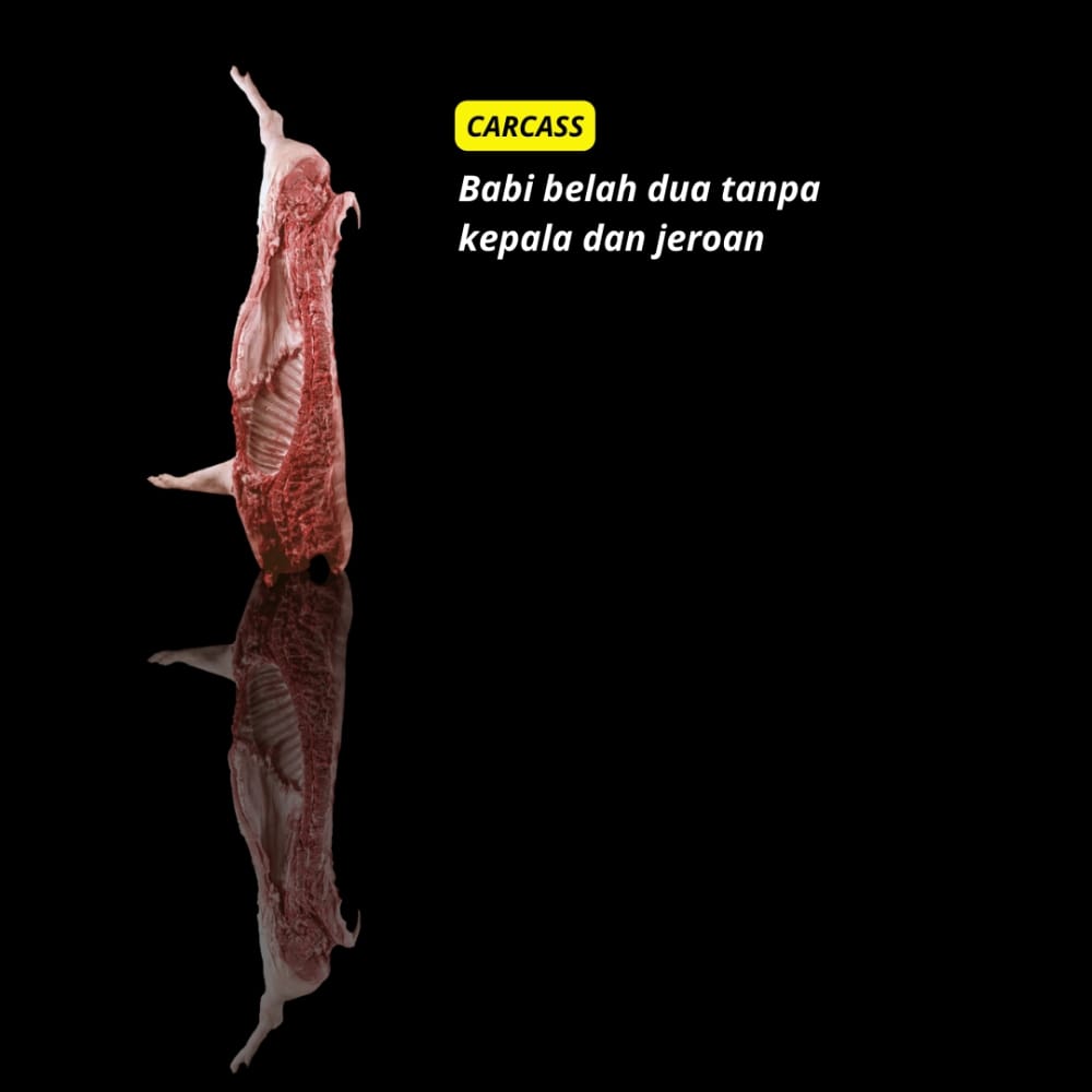 Porky