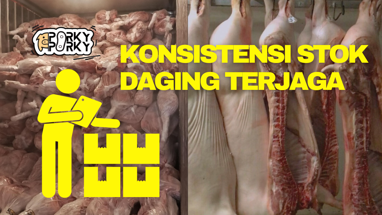 supplier daging babi terpercaya