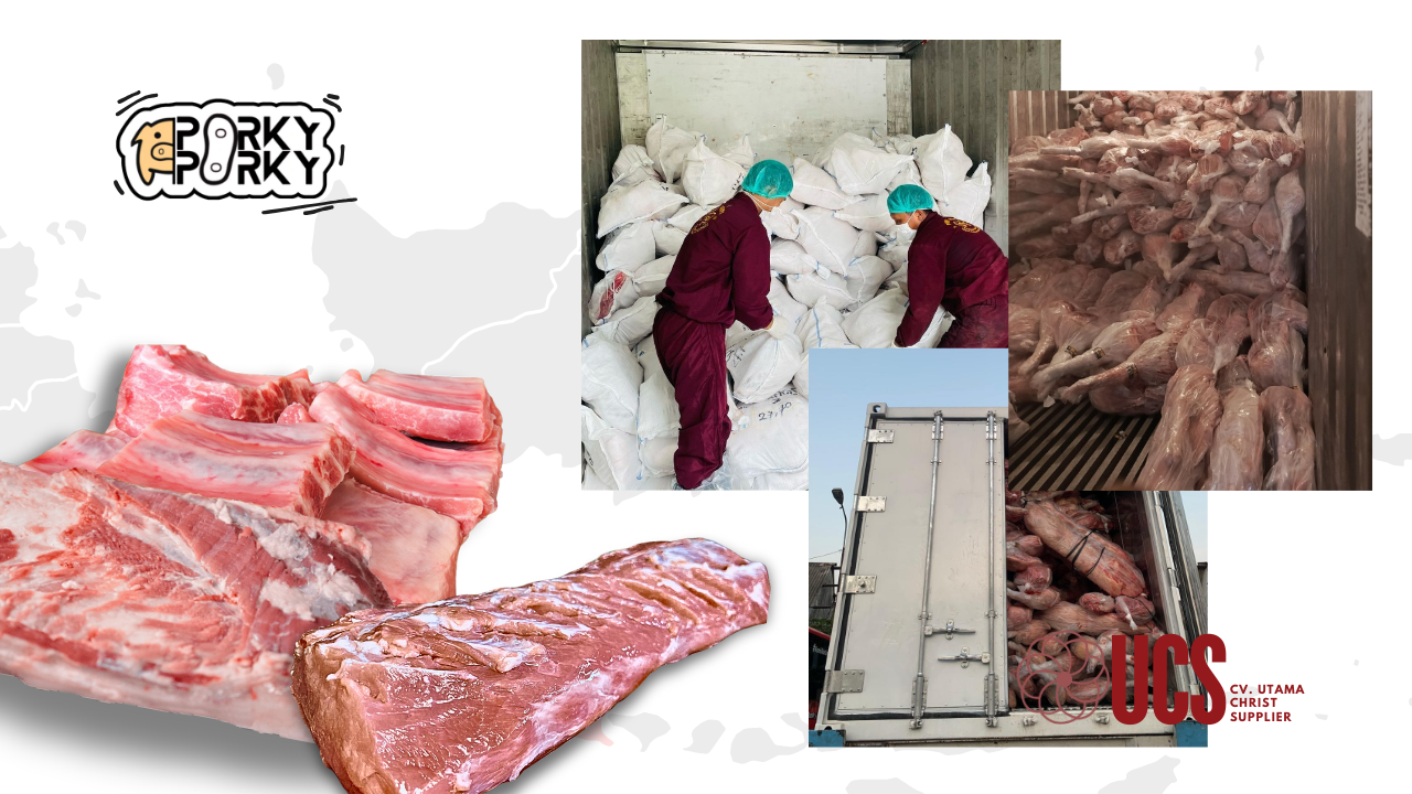 supplier daging babi lokal