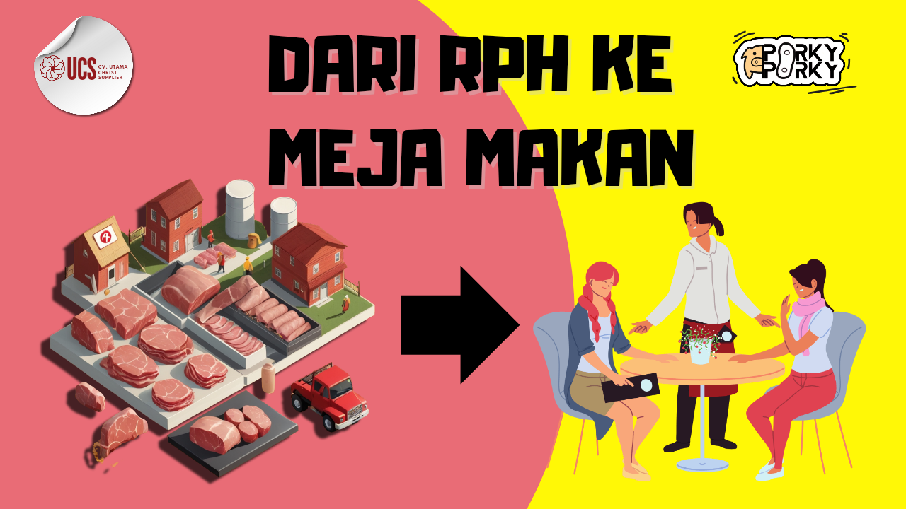 Supplier daging babi