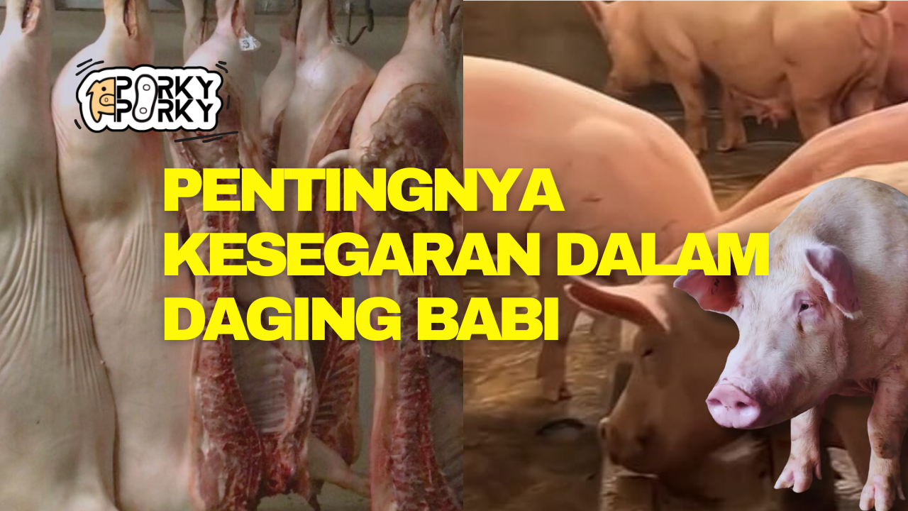 Distribusi Daging Babi Segar