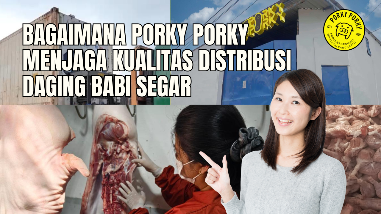 Supplier Daging Babi